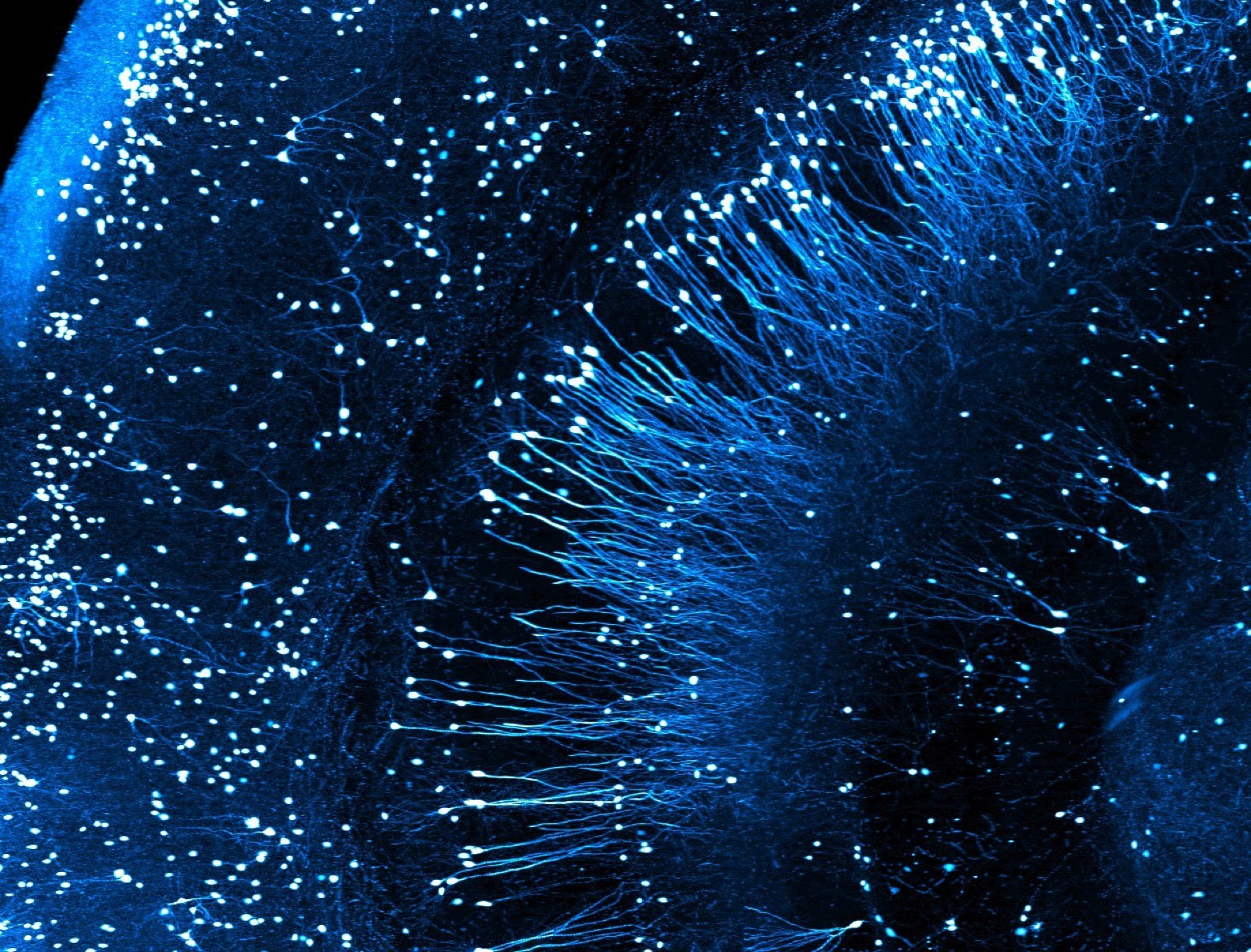 Flying to the Galaxy